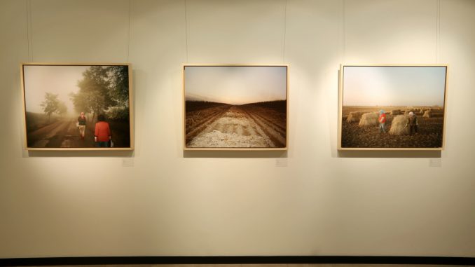 ボッテガ・ヴェネタ、上海で「Critical Landscapes」展を開催